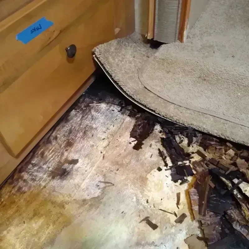 Wood Floor Water Damage in Converse County, WY